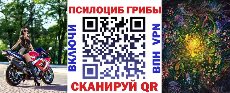 Купить закладки  Сортавала  Псилоцибиновые грибы мухоморы 